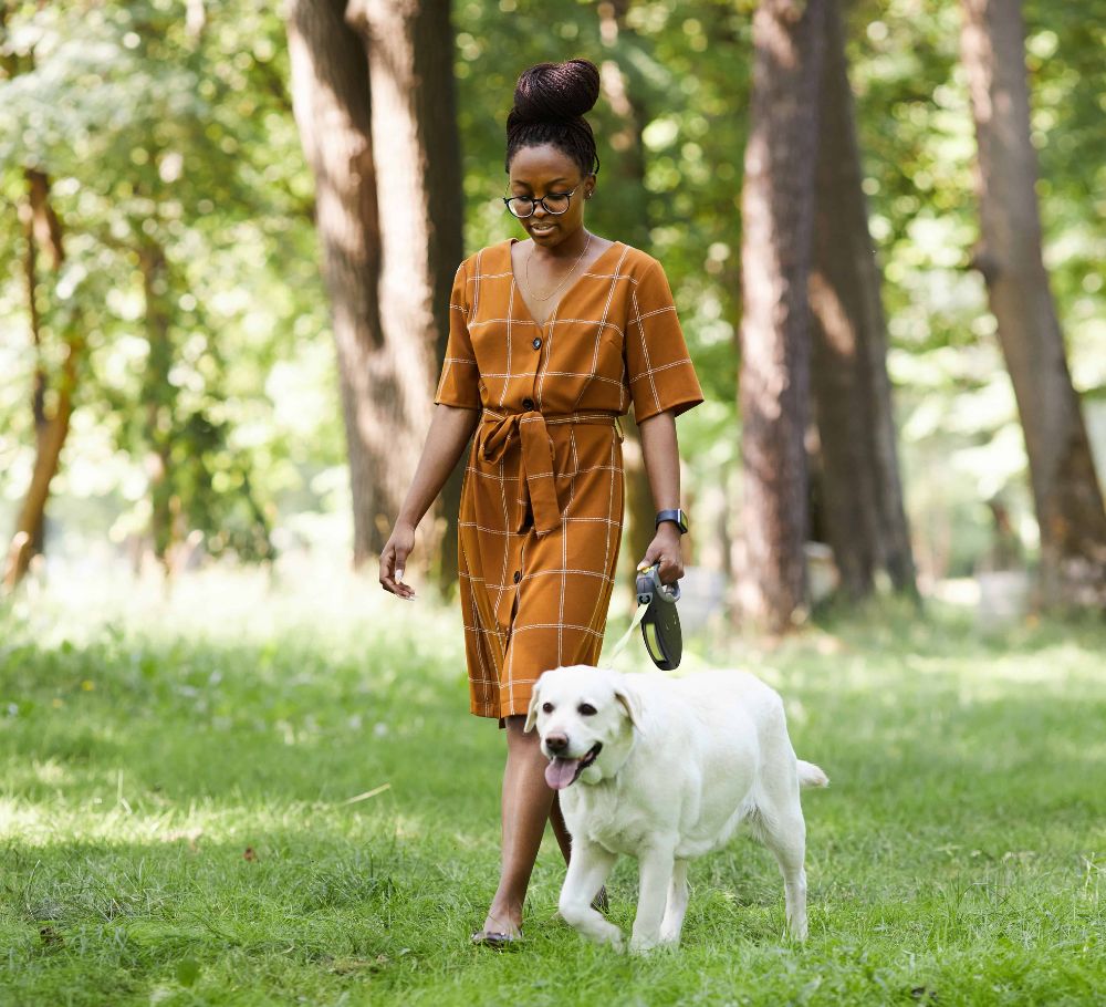 Dog Walking Middle TN Pet Care