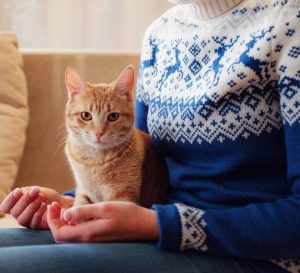 cat visits services page