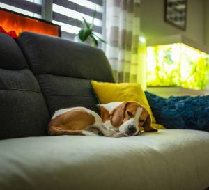 overnight care services page